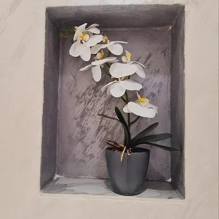 Appartement Lara S *